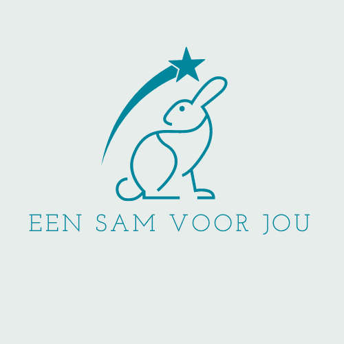 Een Sam voor jou